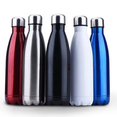 17oz Stainless Steel Double Wall Bottle