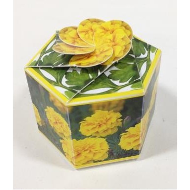 SeedGems™ Paper Planter® Marigold 'Lemon Gem' Biodegradable Grow Kit