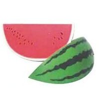 Food Series Watermelon Stress Reliever