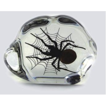 Lucite Paperweights with Real Spider, 2.91"X2.48"X 0.98"