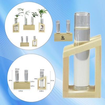 Transparent Tube Glass Plant Holder