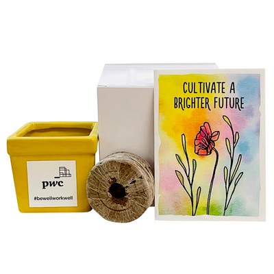 Cultivate a Brighter Future Flower Seed Kit in Ceramic Pot