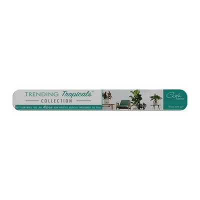 WaveLine® Straight Header - Single Sided Graphics (113"x14")