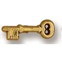 Skeleton Key Stock Design Plastic Lapel Pin