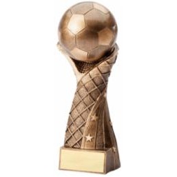 X-Large Soccer Ball w/Net Award