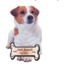 Jack Russell Terrier Dog Lapel Pin