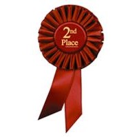 Rosette Ribbon - SECOND PLACE - Red - 3-1/2" x 6-1/2"