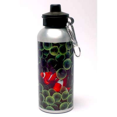 Premium Line 600 Ml Aluminum Bottle