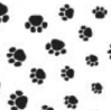 Puppy Paws Double Ream Designer Tissue Paper