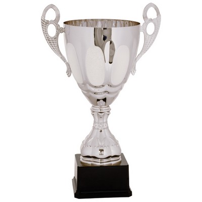 Silver Metal Trophy Cup 11"H