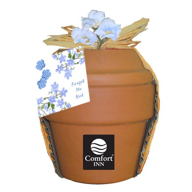 Deluxe Plant Kit w/Forget-Me-Not Seeds