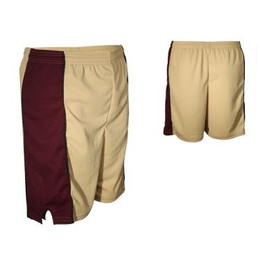 Adult Cool Mesh Short w/ Contrasting Side Panel & V-Notch (5" Inseam)