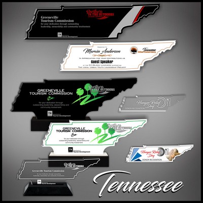 11" Tennessee Black Budget Acrylic Award