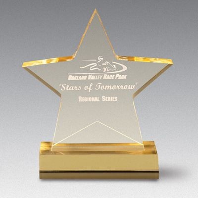 Medium Star Award (6"x6.75")