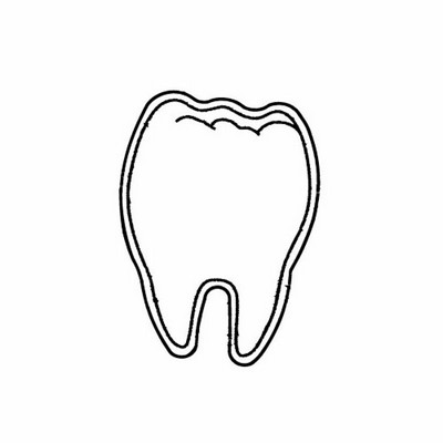 Tooth Magnet - Full Color