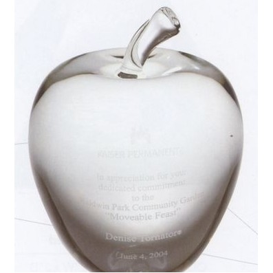 Medium Optical Crystal Smooth Apple Paperweight