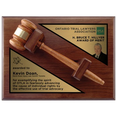 Gavel Plaque, Award Trophy, x1