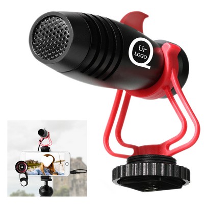 Video Interview Radio Microphone Set