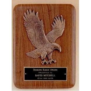 Airflyte Collection Plaque w/ Antique Bronze Relief Eagle (9"x12")