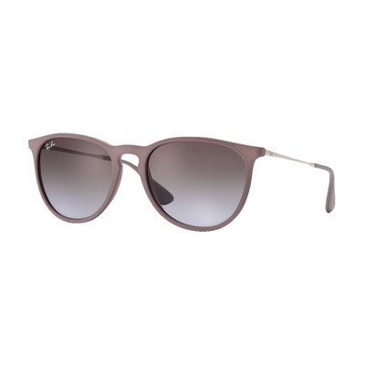 Ray-Ban Erika Classic Sunglasses