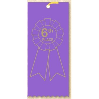 2"x 6" 6TH Place Stock Lapel Award Ribbon