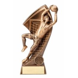 Resin Soccer Goalie Award