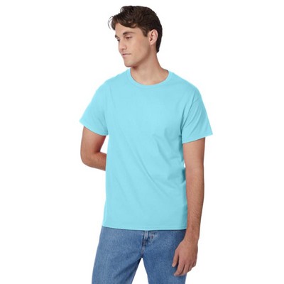 Hanes Men's Authentic-T T-Shirt