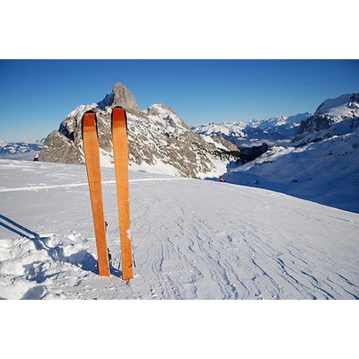 Branded Alpine Skis