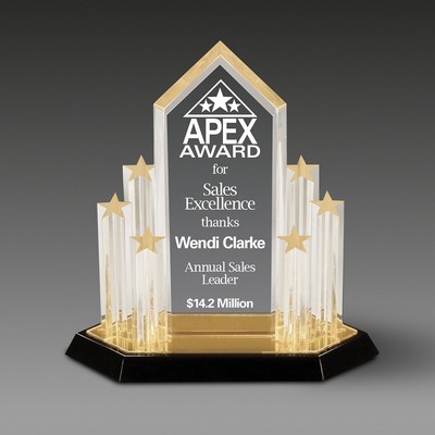 Stellar Performance™ Outstanding Achievement Award (11"x11¾")