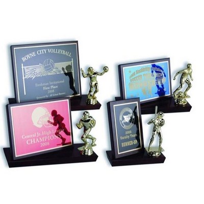 Billboard Trophy (9.75" x 7.75")