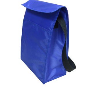 Lunch Cooler Bag