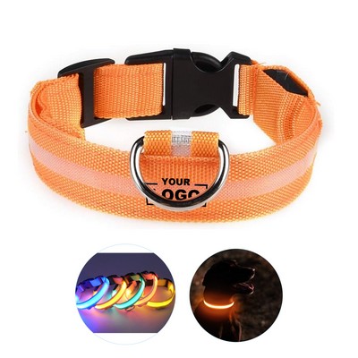 Rechargeable LED Dog Collar