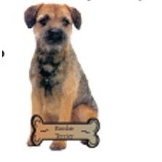 Border Terrier Dog Lapel Pin