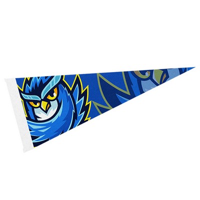 4" x 10" Full Color Felt Pennant - with Strip