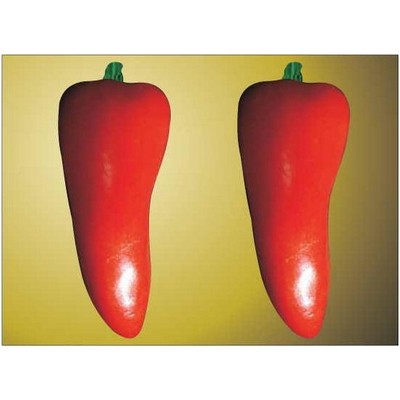 Red Chili Pepper Rectangle Metal Photo Magnet (2"x3")