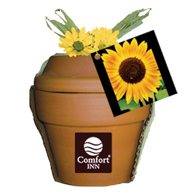 Deluxe Plant Kit w/Sunflower Seeds