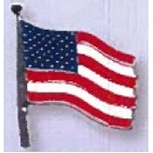 American Flag Lapel Pin w/ Silver Pole