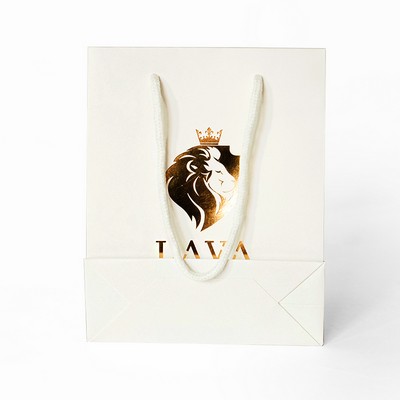 210g C1S paper bag with foil imprint on all sides (10*13*5")