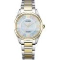 Citizen® Ladies' Arezzo Eco-Drive® Two-Tone Watch