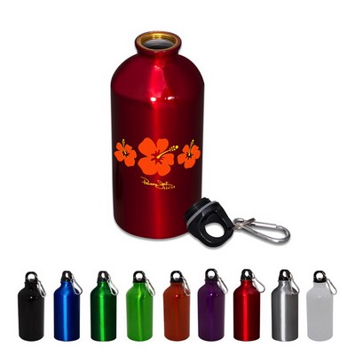 17 oz Aluminum Bottle