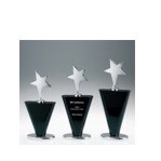 Medium Black Winner's Star Award