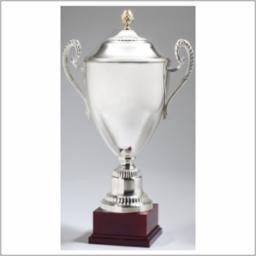 15" Best Performance Trophy