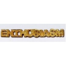 Stock Words and Phrases Lapel Pins (Enthusiasm)