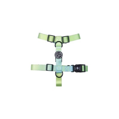 Small Stylish Adjustable Pet Vest Harness