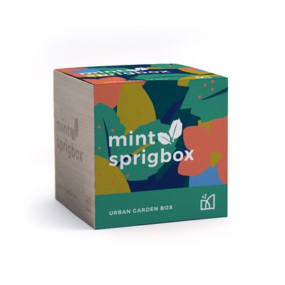 Mint Grow Kit