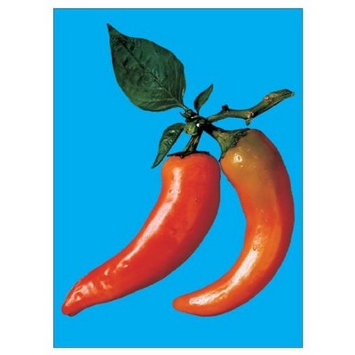 Chili Pepper Rectangle Metal Photo Magnet (2"x3")