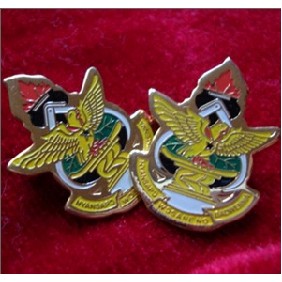 Special Design Lapel Pin