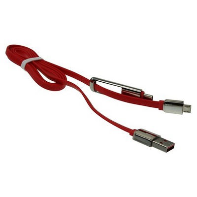 2-In-1 USB Adaptor