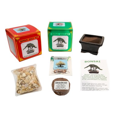 Assorted Bonsai Seed Kit