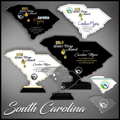 7" South Carolina Black Budget Acrylic Award